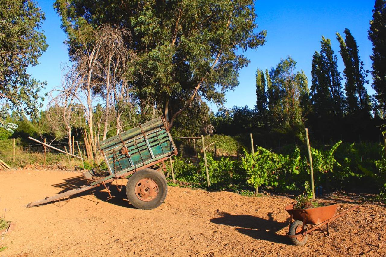 Hotel Boutique Raices De Colchagua Santa Cruz Zewnętrze zdjęcie