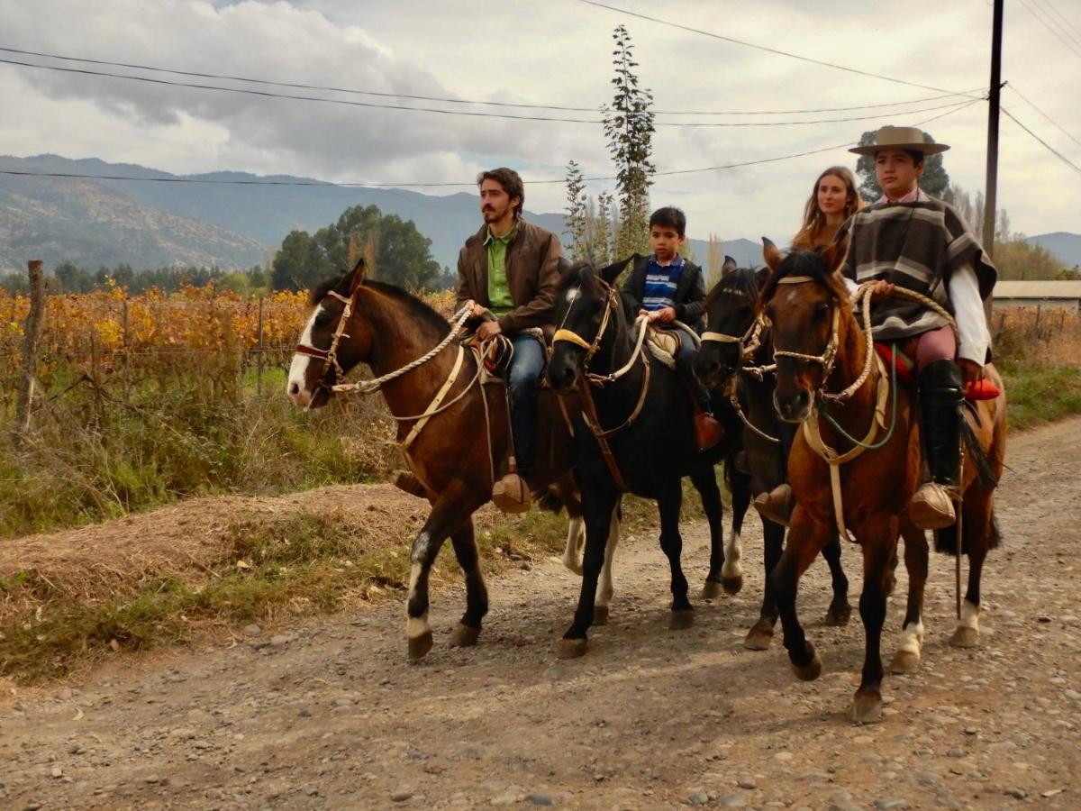Hotel Boutique Raices De Colchagua Santa Cruz Zewnętrze zdjęcie