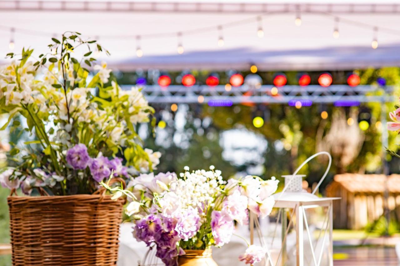 Hotel Boutique Raices De Colchagua Santa Cruz Zewnętrze zdjęcie