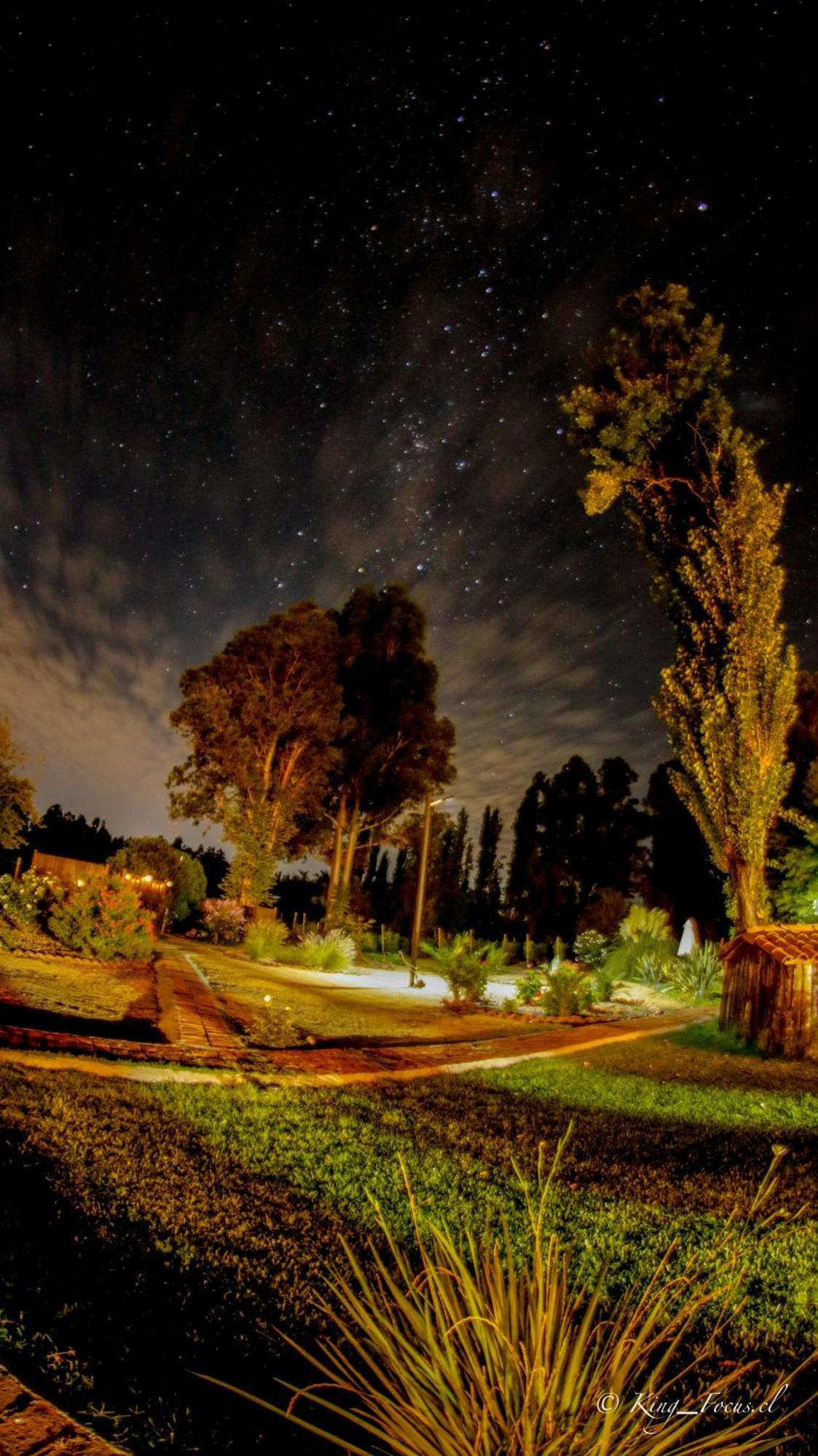Hotel Boutique Raices De Colchagua Santa Cruz Zewnętrze zdjęcie